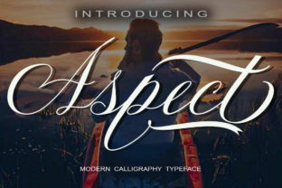 Aspect: The Bold Script Font for Eye-Catching Campaigns