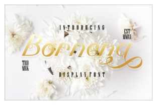 Bornena Font: A Sweet Script for Handmade Labels