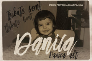 Danica Font: Elevate Your Small Business Branding