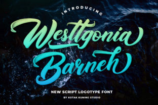 Westtgonia Barneh: A Designer’s Practical Review